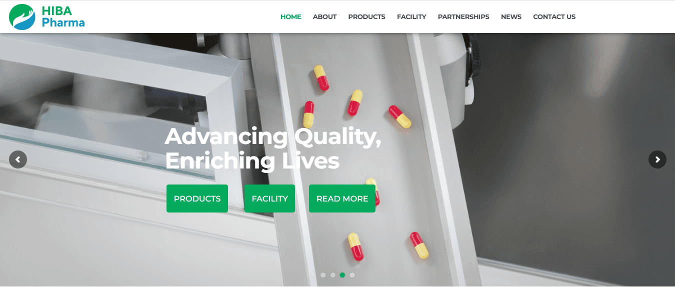Website 4