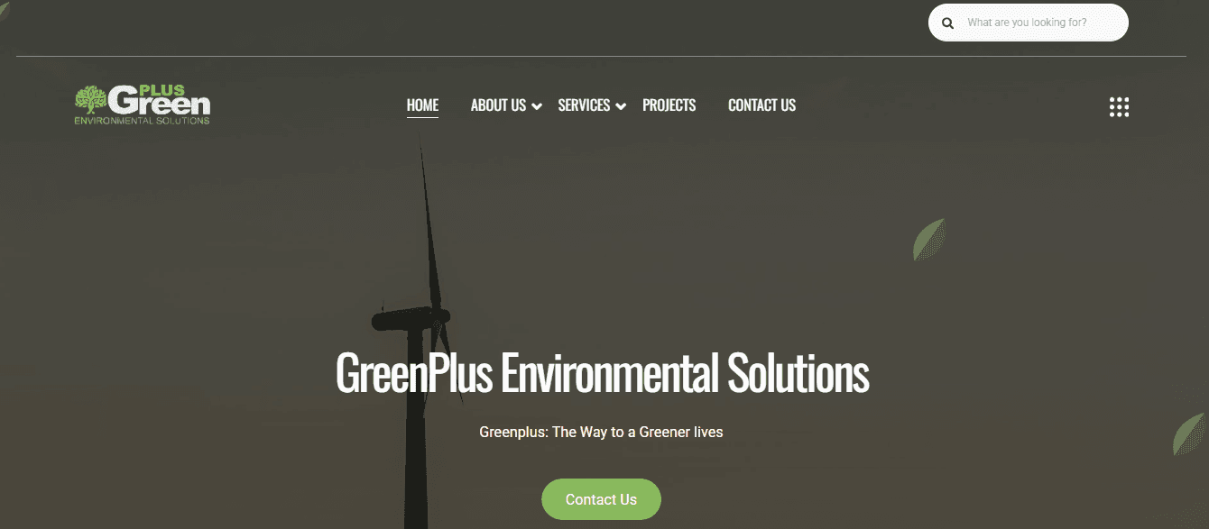 Website 1
